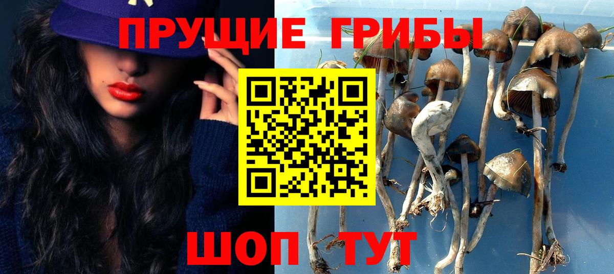 Галлюциногенные грибы мухоморы Железноводск